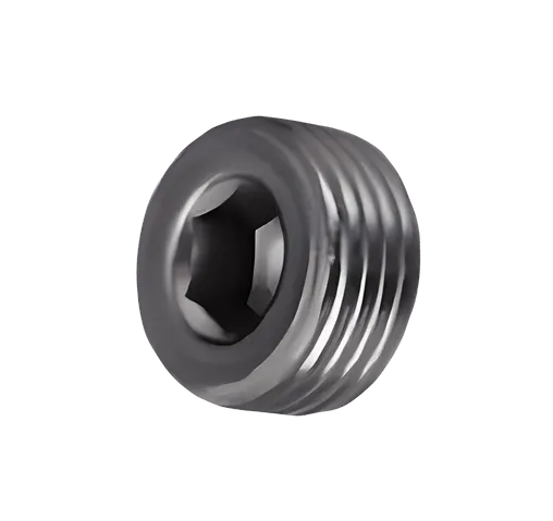 C077941  (Plug - Pipe)